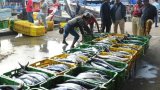Pêche à Laâyoune : l’État dément toute destruction des ressources halieutiques