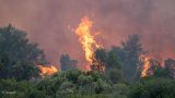 Chefchaouen : trois Canadair mobilisés pour un incendie hors norme dans la forêt de Karankha