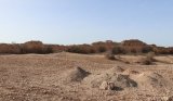 Sidi Bennour : lancement de fouilles archéologiques sur l’ancienne cité de Mouchtraya