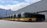 Casabus renforce ses lignes à destination des plages