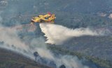 Incendie dans la forêt de Houara à Tanger : une personne interpellée